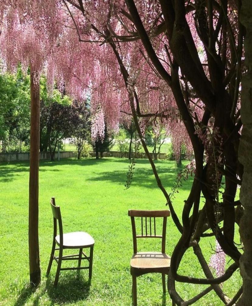 La Taverna Fra Le Colline